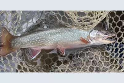 1423 Redhill Road, Fairplay, CO 80440 - Photo 50