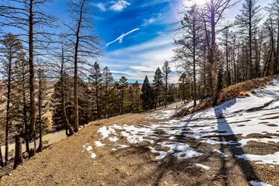 1423 Redhill Road, Fairplay, CO 80440 - Photo 18