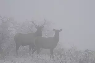 421 Terrace Trl, La Veta, CO 81055 - Photo 48