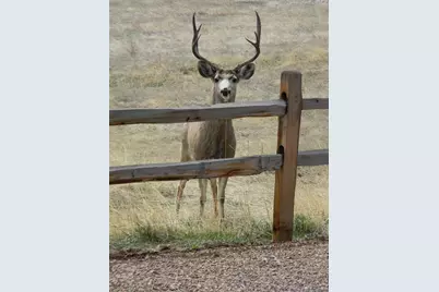 421 Terrace Trail, La Veta, CO 81055 - Photo 50