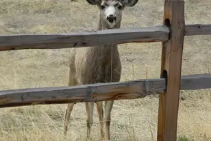 421 Terrace Trl, La Veta, CO 81055 - Photo 50