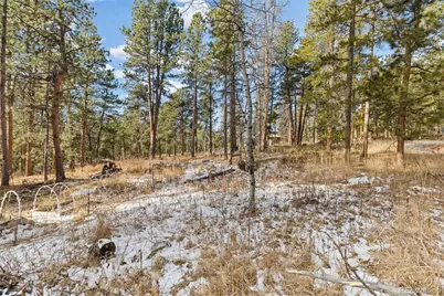 11155 Kennedy Avenue, Conifer, CO 80433 - Photo 46