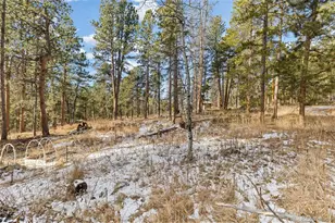 11155 Kennedy Ave, Conifer, CO 80433 - Photo 46
