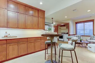 2665 Iola St, Denver, CO 80238 - Photo 26