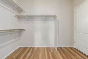 2214 Dawkins Dr, Castle Rock, CO 80104 - Photo 28