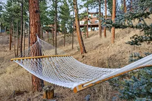 3144 Snow Trillium Way, Evergreen, CO 80439 - Photo 42