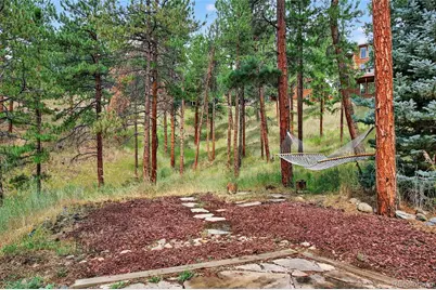 3144 Snow Trillium Way, Evergreen, CO 80439 - Photo 38