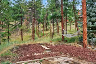 3144 Snow Trillium Way, Evergreen, CO 80439 - Photo 38