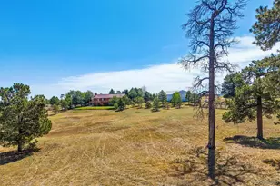 41029 Thunder Hill Rd, Parker, CO 80138 - Photo 40