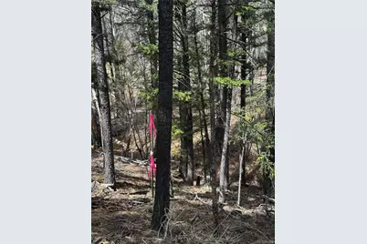 16525 Mt. Princeton Road, Buena Vista, CO 81211 - Photo 44