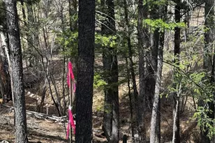 16525 Mt Princeton Rd, Buena Vista, CO 81211 - Photo 44