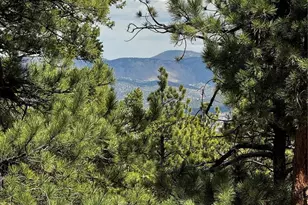 16525 Mt Princeton Rd, Buena Vista, CO 81211 - Photo 46