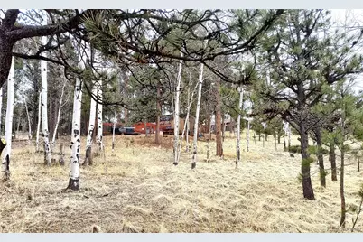 103 Adair Circle, Florissant, CO 80816 - Photo 1