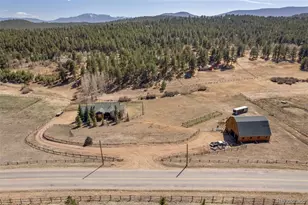 1740 Co Rd 72, Bailey, CO 80421 - Photo 36