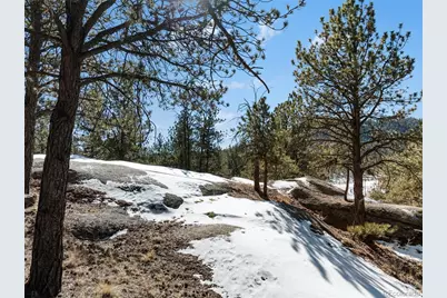 10448 Cr1, Florissant, CO 80816 - Photo 34