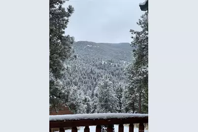 305 Virginia Road #B, Bailey, CO 80421 - Photo 30