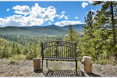 305 Virginia Road #B, Bailey, CO 80421 - Photo 26