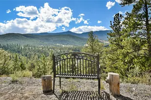 305 Virginia Rd, Bailey, CO 80421 - Photo 26