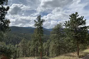305 Virginia Rd, Bailey, CO 80421 - Photo 38