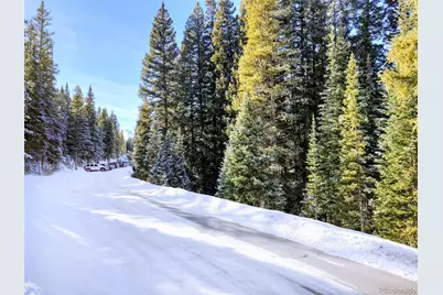 3362 Boreas Pass Road, Breckenridge, CO 80424 - Photo 16