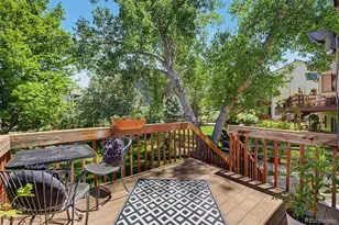 244 Powderhorn Trail, Broomfield, CO 80020 - Photo 32