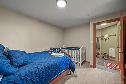 13540 Deer Ridge Way, Larkspur, CO 80118 - Photo 20