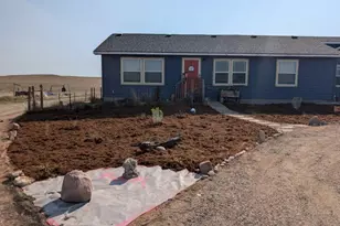 2201 Antelope Racer Ct, Wellington, CO 80549 - Photo 2