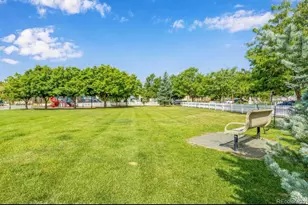 14144 Blue River Trail, Broomfield, CO 80023 - Photo 42
