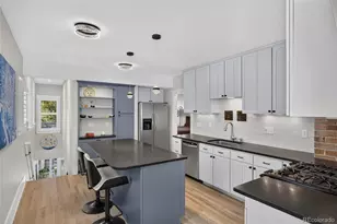 569 S Race St, Denver, CO 80209 - Photo 12