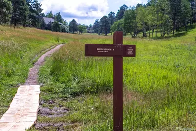 24174 Sumac Drive, Golden, CO 80401 - Photo 46