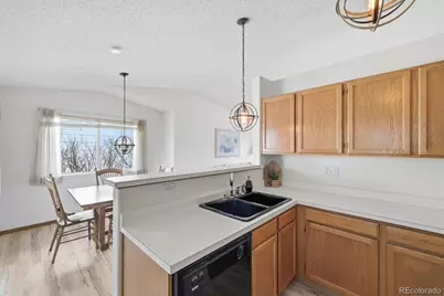 133 Rockaway Avenue, Castle Rock, CO 80104 - Photo 10