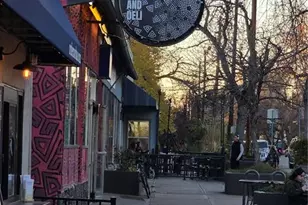 1365 Columbine St, Denver, CO 80206 - Photo 28