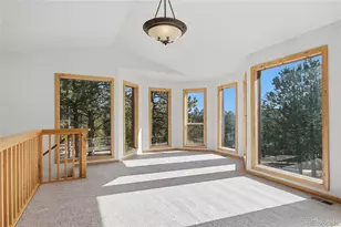 303 Kudu Trail, Bailey, CO 80421 - Photo 6