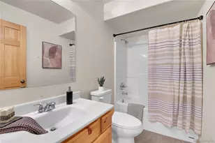 303 Kudu Trail, Bailey, CO 80421 - Photo 38