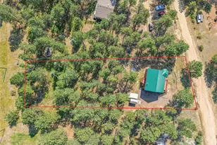 303 Kudu Trail, Bailey, CO 80421 - Photo 18