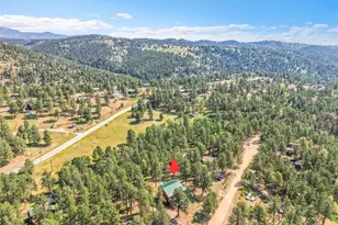 303 Kudu Trail, Bailey, CO 80421 - Photo 44