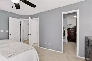 523 Timberline Pl, Highlands Ranch, CO 80126 - Photo 22