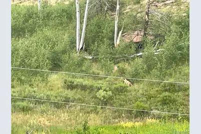 954 Forbes Park Road, Fort Garland, CO 81133 - Photo 12