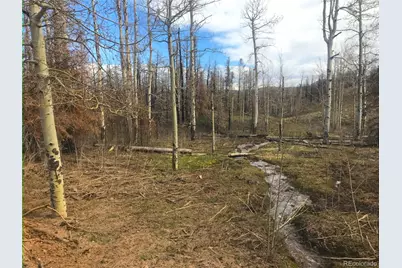 954 Forbes Park Road, Fort Garland, CO 81133 - Photo 6