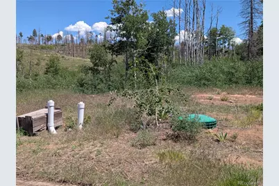 954 Forbes Park Road, Fort Garland, CO 81133 - Photo 4