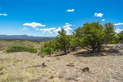 896 Shannon Trail, Cotopaxi, CO 81223 - Photo 16