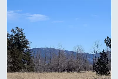 67 Colt Lane, Jefferson, CO 80456 - Photo 6