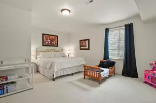 16002 E 111th Cir, Commerce City, CO 80022 - Photo 26