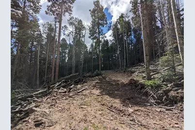 2379 Larry Place, Fort Garland, CO 81133 - Photo 6