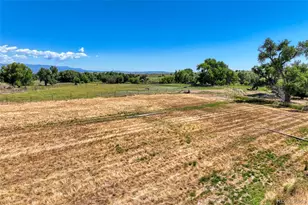 1218 Colunty Road 32X, Wetmore, CO 81226 - Photo 34