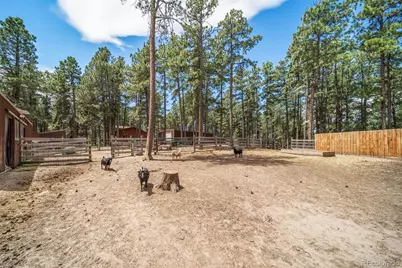 3654 Estates Circle, Larkspur, CO 80118 - Photo 46
