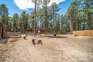 3654 Estates Circle, Larkspur, CO 80118 - Photo 46