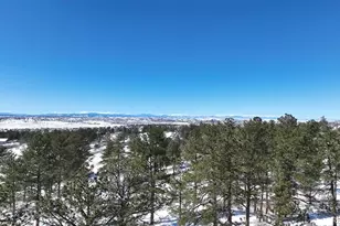 8125 Pine Straw Pl, Franktown, CO 80116 - Photo 1