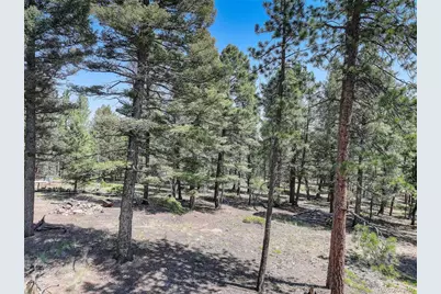 1002 Indian Creek Road, Florissant, CO 80816 - Photo 6
