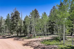 1002 Indian Creek Rd, Florissant, CO 80816 - Photo 16